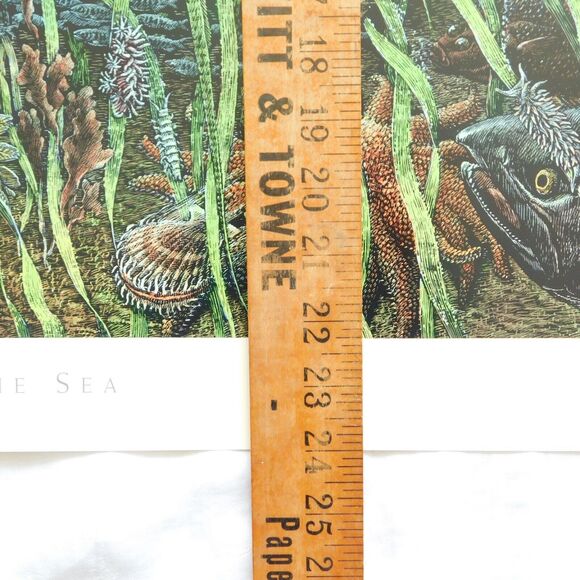 Vintage Art Poster 1995 Larry W. Duke, ESTUARIES 36x24 Nature Coastal NOAA NOS - Picture 5 of 15